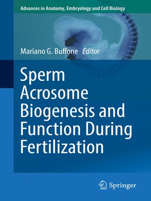 cover image of Sperm Acrosome Biogenesis and Function During Fertilization